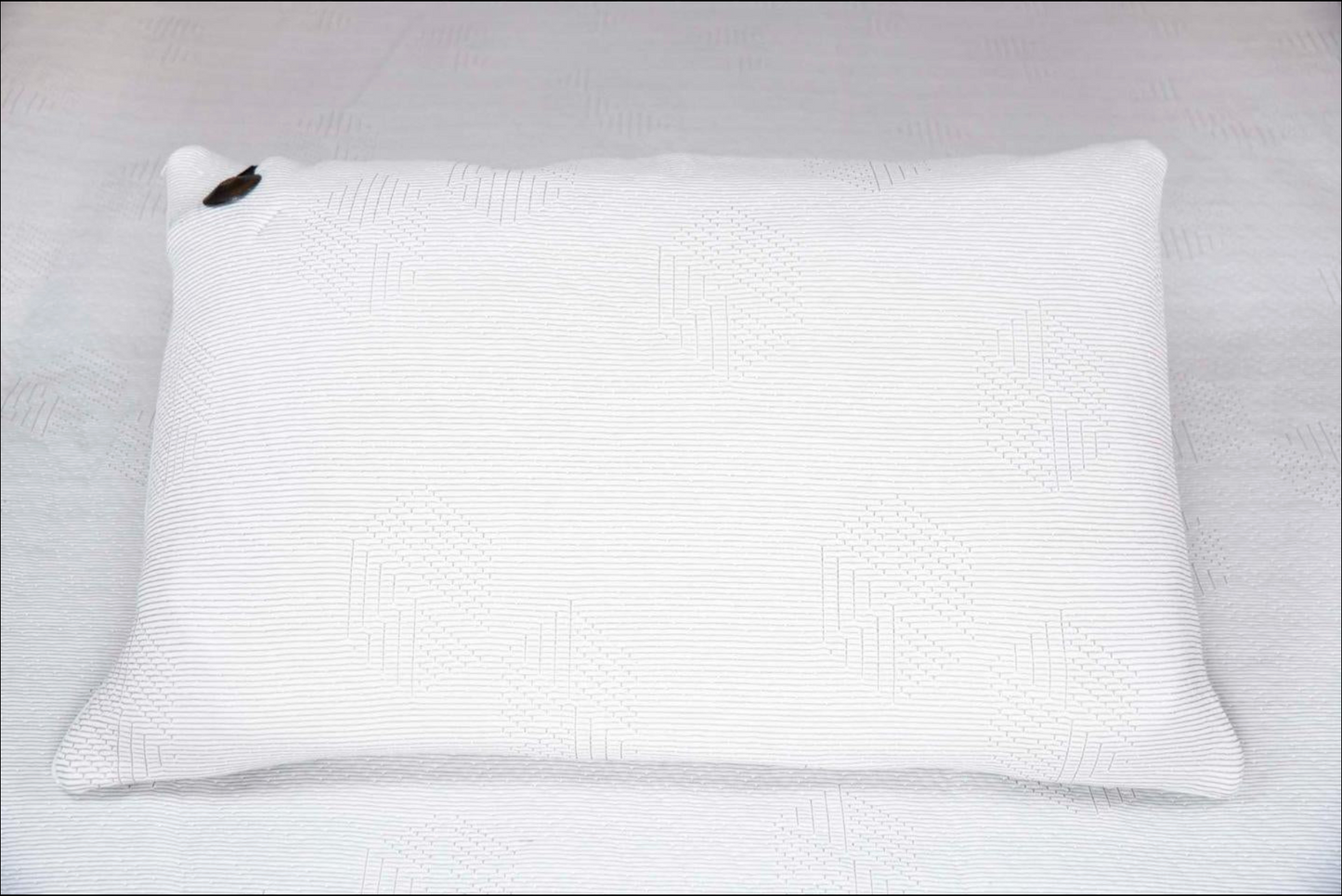 BioShield Pillow Case